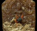 阿赞‮纳金‬潘2549年第一期“计也沙”坤平